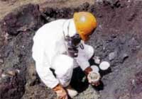 Asbestos & Hazardous Materials